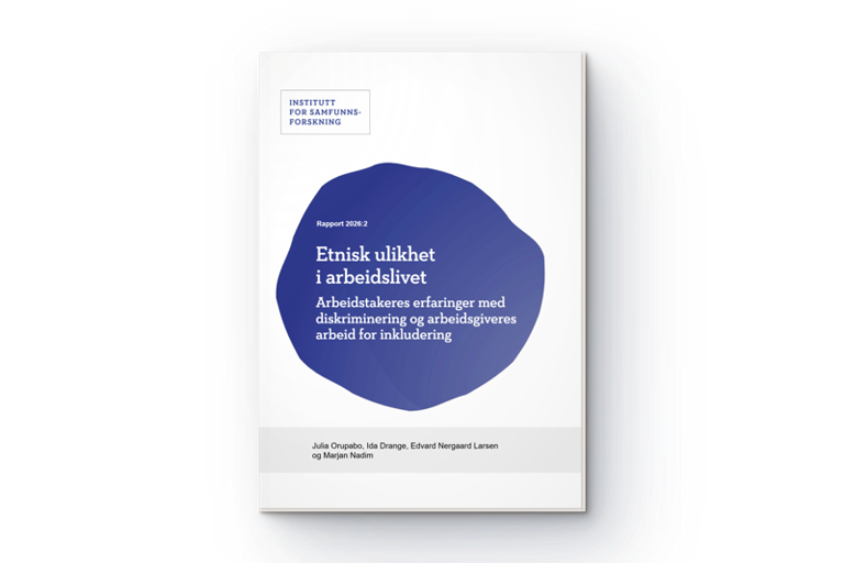 Etnisk ulikhet i arbeidslivet